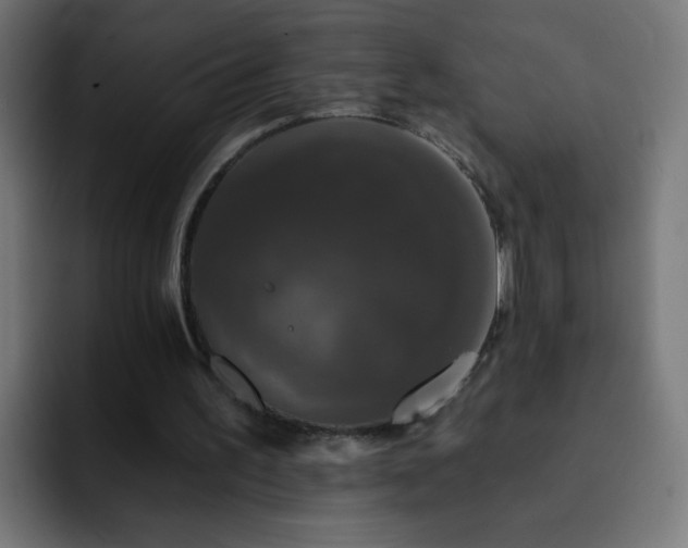 X0000093130195200710031358