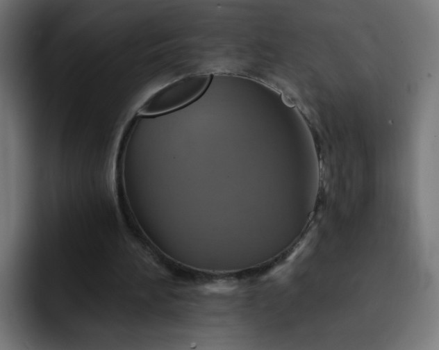 X0000093130196200710031358