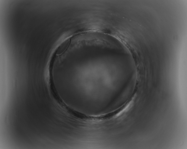 X0000093130198200710031358