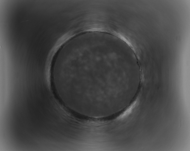 X0000093130199200710031358