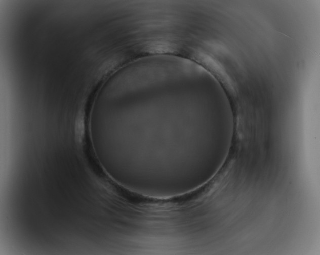 X0000093130202200710031358