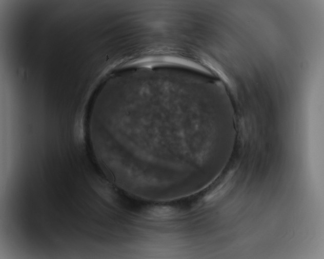 X0000093130203200710031358