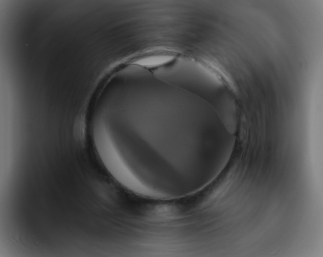 X0000093130204200710031358