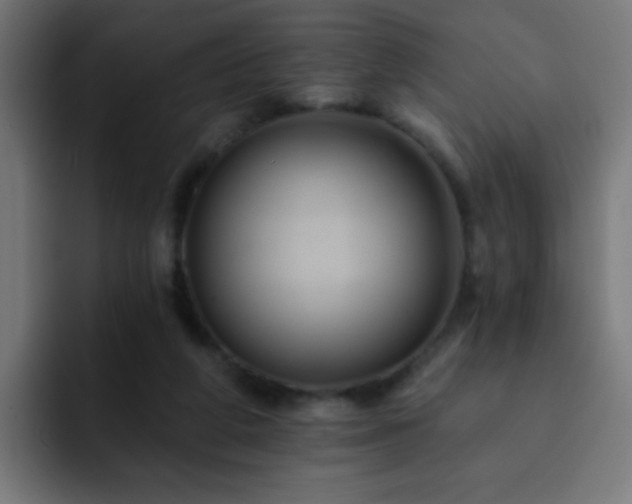 X0000093130210200710031358