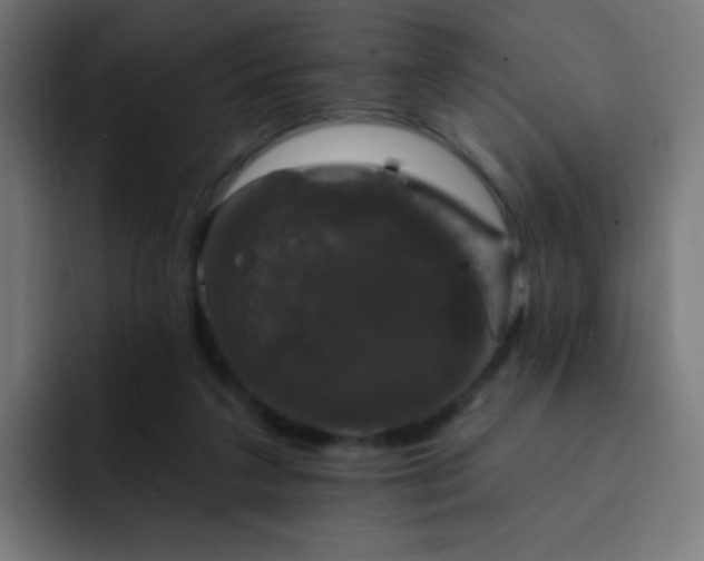 X0000093130211200710031358