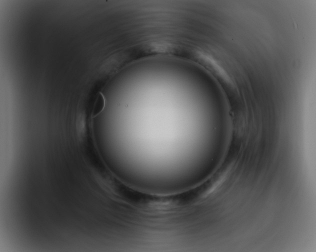 X0000093130213200710031358