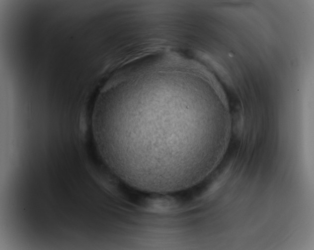 X0000093130215200710031358