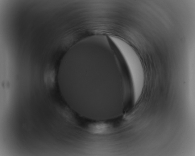 X0000093130219200710031358