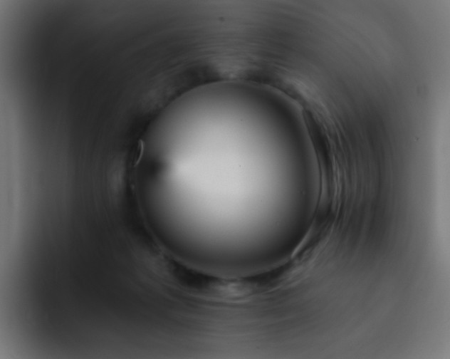 X0000093130221200710031358