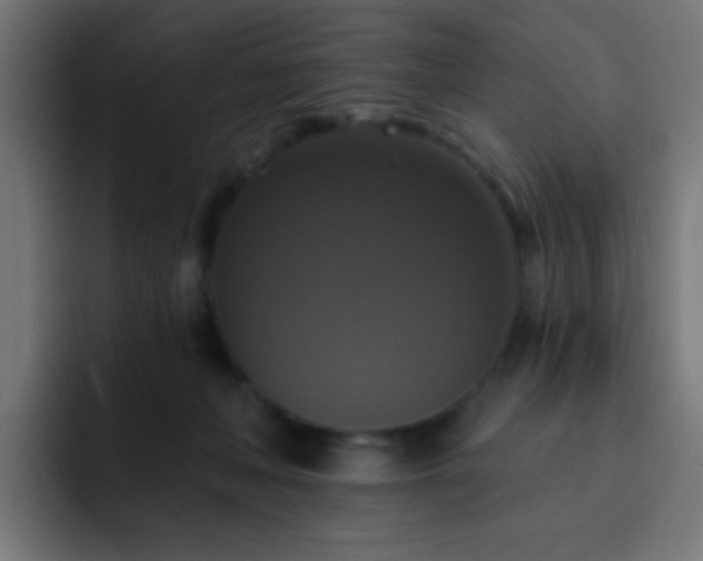 X0000093130222200710031358