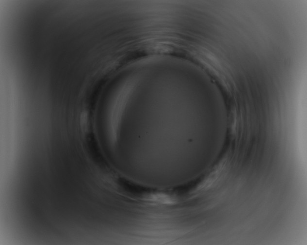 X0000093130224200710031358