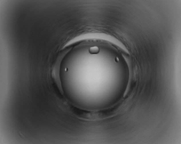 X0000093130225200710031358