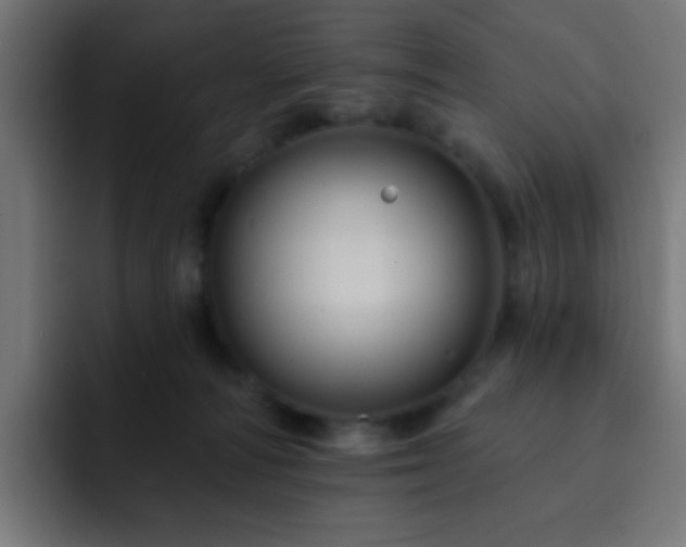 X0000093130226200710031358