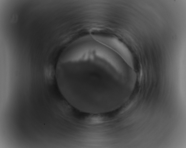 X0000093130228200710031358