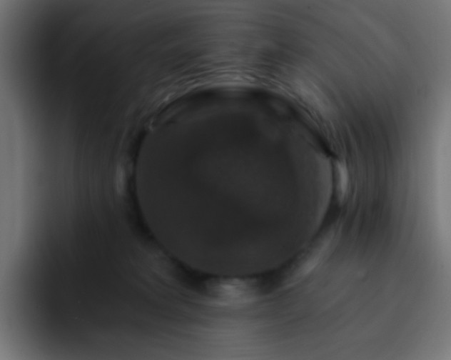 X0000093130229200710031358