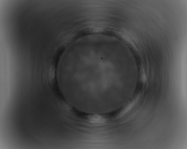 X0000093130230200710031358