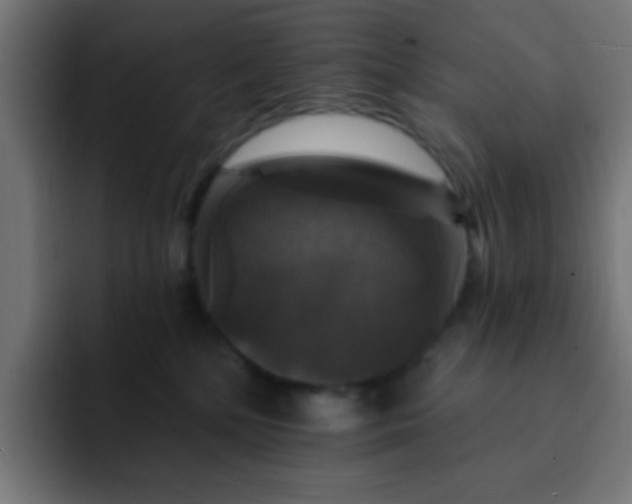 X0000093130232200710031358