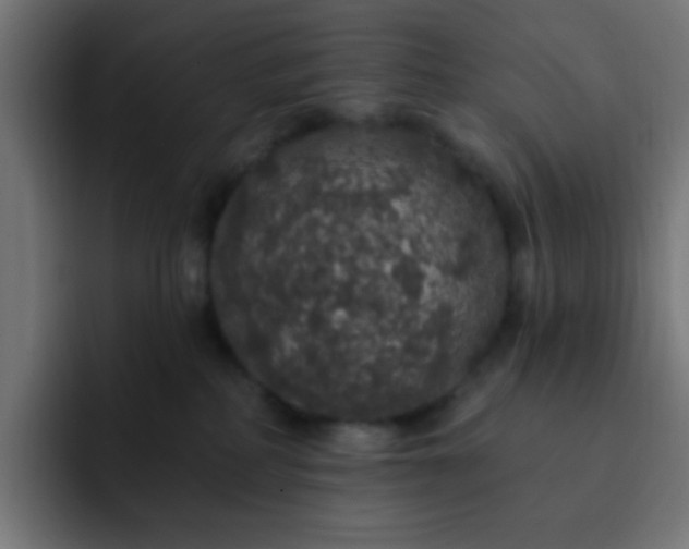 X0000093130234200710031357