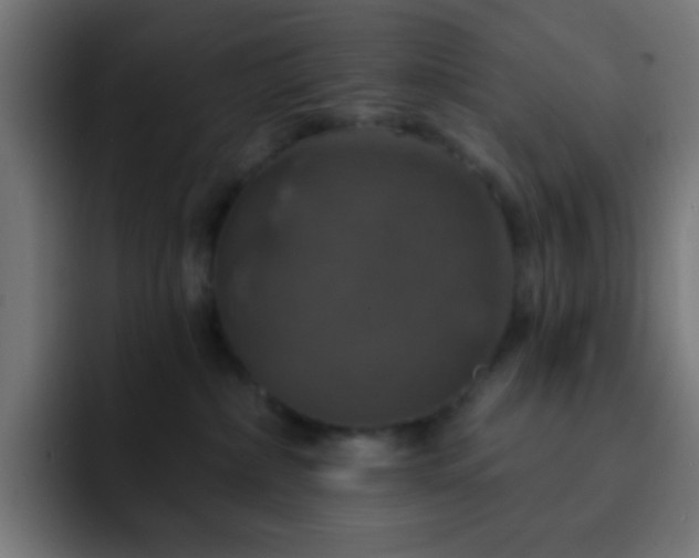 X0000093130236200710031357