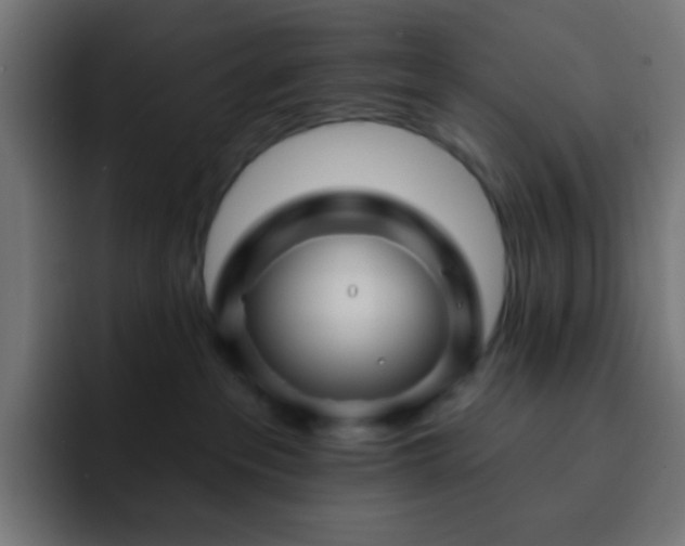 X0000093130237200710031357