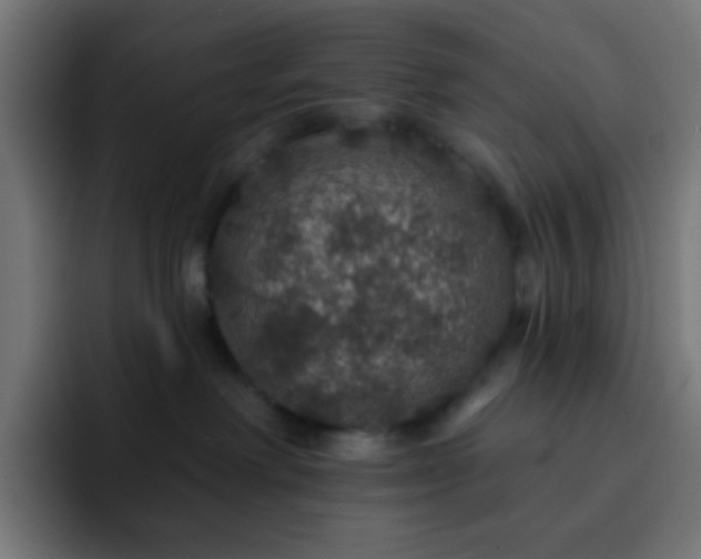 X0000093130238200710031357