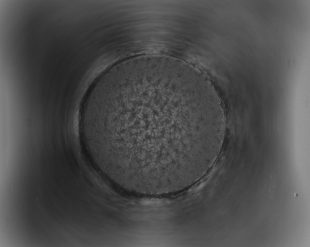 X0000093130242200710031357