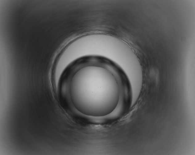 X0000093130244200710031357