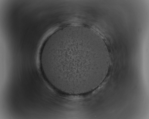 X0000093130245200710031357