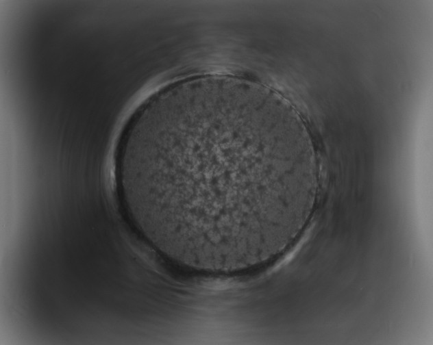 X0000093130246200710031357