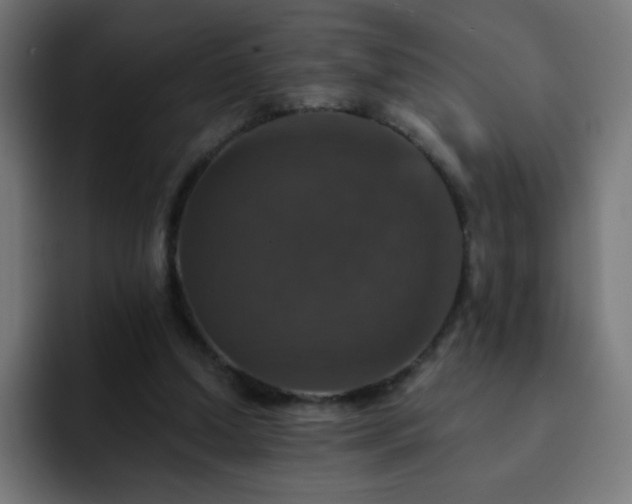 X0000093130250200710031357