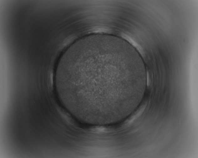 X0000093130253200710031357