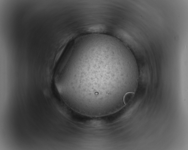 X0000093130255200710031357