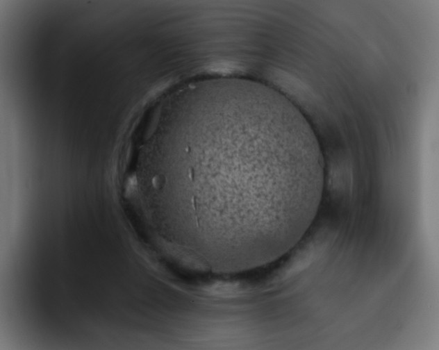 X0000093130256200710031357