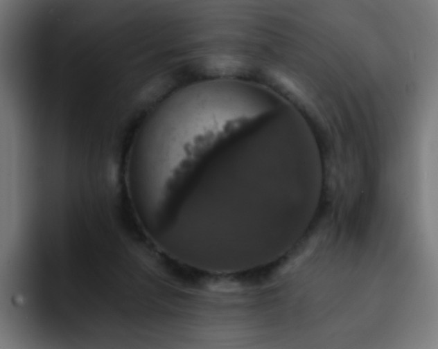 X0000093130258200710031357