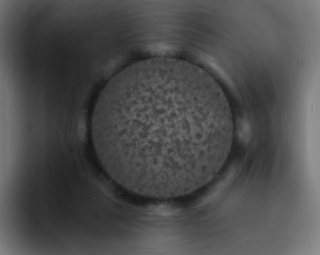 X0000093130259200710031357