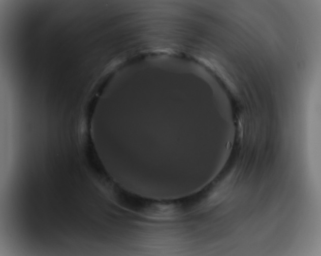 X0000093130260200710031357