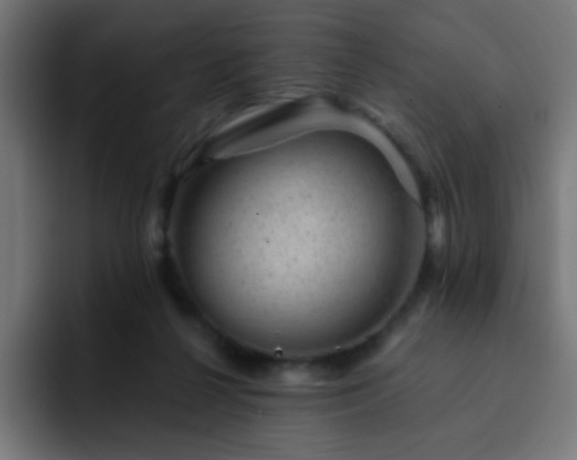 X0000093130264200710031357