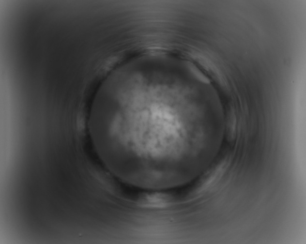 X0000093130268200710031357