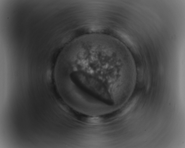 X0000093130269200710031357