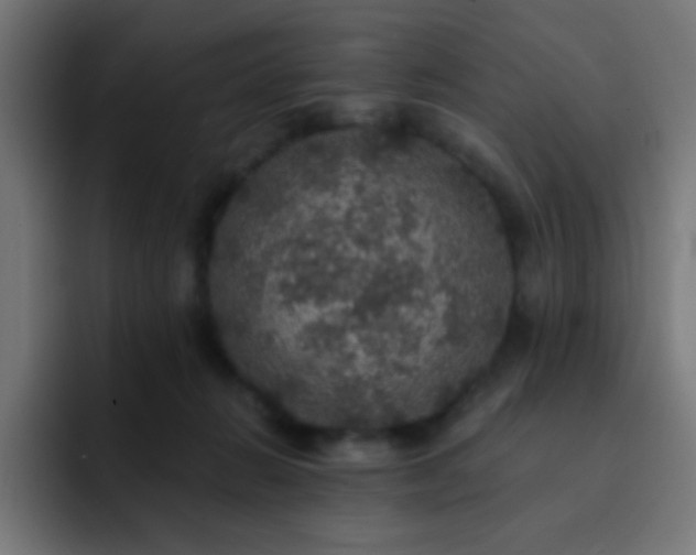 X0000093130270200710031357