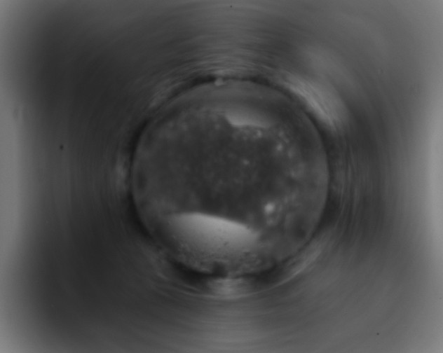 X0000093130273200710031357