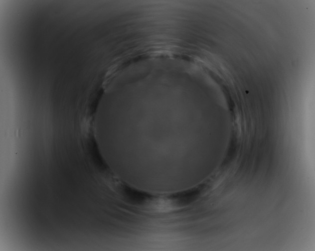 X0000093130276200710031357