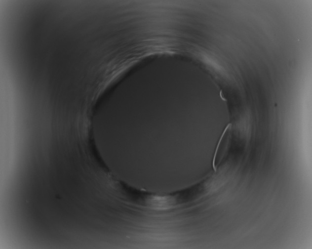 X0000093130277200710031357