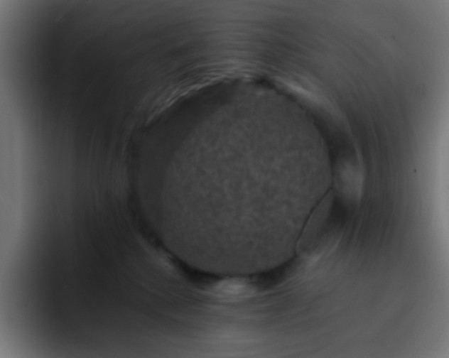 X0000093130280200710031357