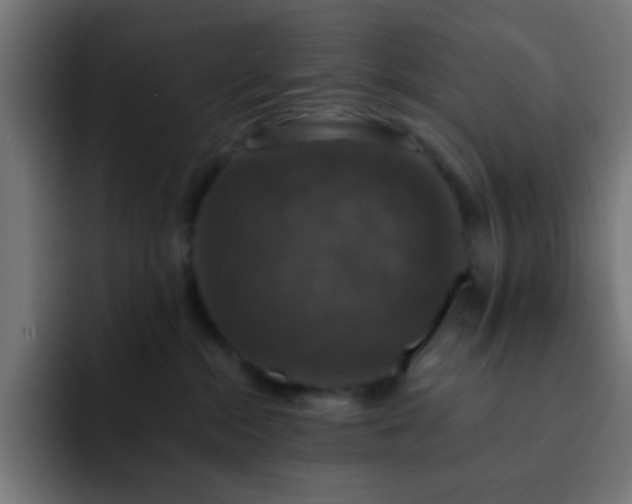 X0000093130284200710031357