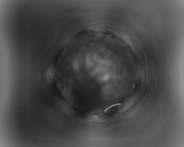 X0000093130285200710031357