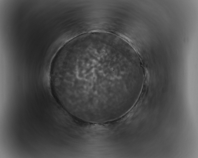 X0000093130290200710031357