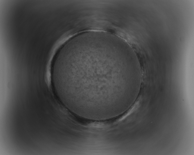 X0000093130294200710031357