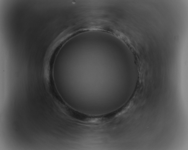 X0000093130295200710031357