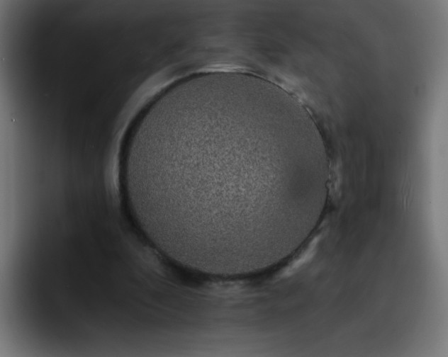 X0000093130296200710031357